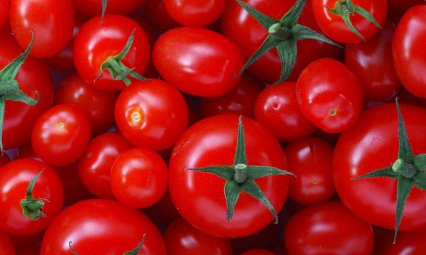 40 лучших сортов помидоров