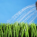 Как правильно поливать растения?