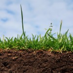 Как понизить кислотность почвы?