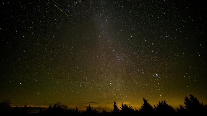 Жители Приморья смогут увидеть звездопад Геминиды в ночь на 14 декабря